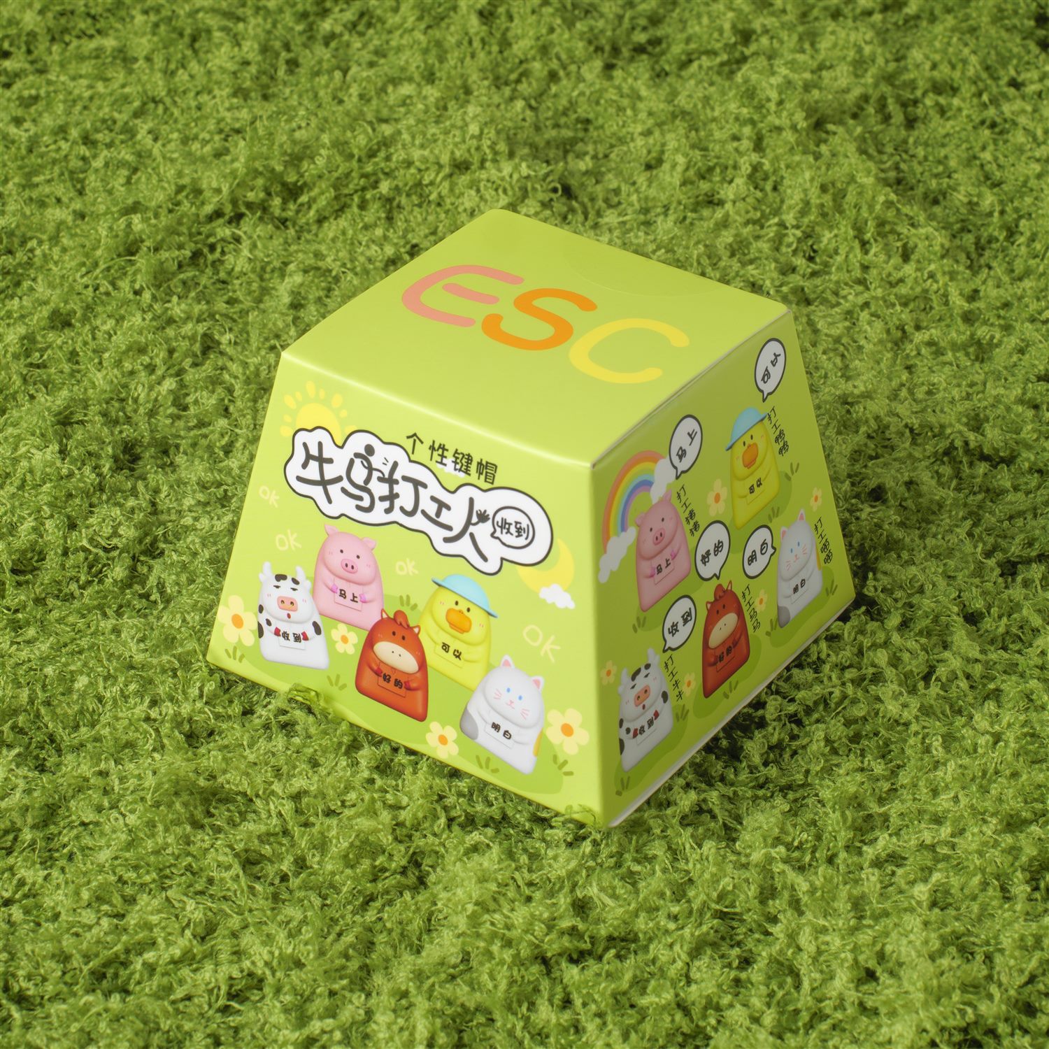 Custom printed retail blind box packaging for character keycaps